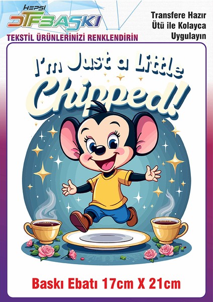 Özel Tasarım Ütü ile Yapışan Kumaş Tekstil Kıyafet Dtf Baskı 2675