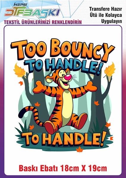 Özel Tasarım Ütü ile Yapışan Kumaş Tekstil Kıyafet Dtf Baskı 2701