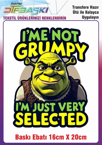 Özel Tasarım Ütü ile Yapışan Kumaş Tekstil Kıyafet Dtf Baskı 2698