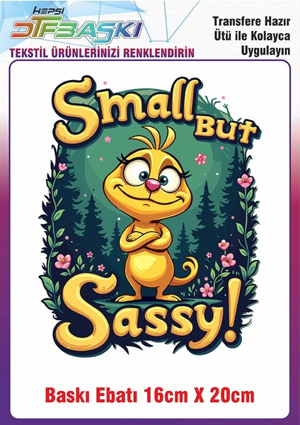 Özel Tasarım Ütü ile Yapışan Kumaş Tekstil Kıyafet Dtf Baskı 2723