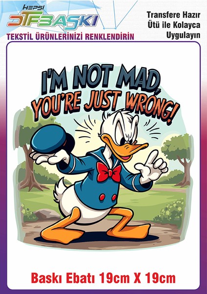 Özel Tasarım Ütü ile Yapışan Kumaş Tekstil Kıyafet Dtf Baskı 2711