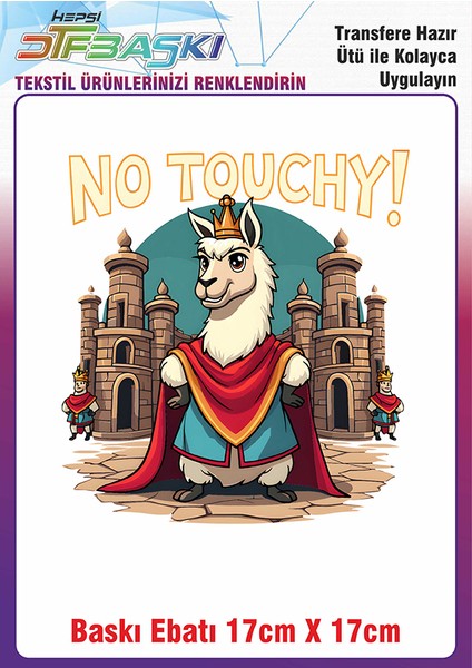 Özel Tasarım Ütü ile Yapışan Kumaş Tekstil Kıyafet Dtf Baskı 2745