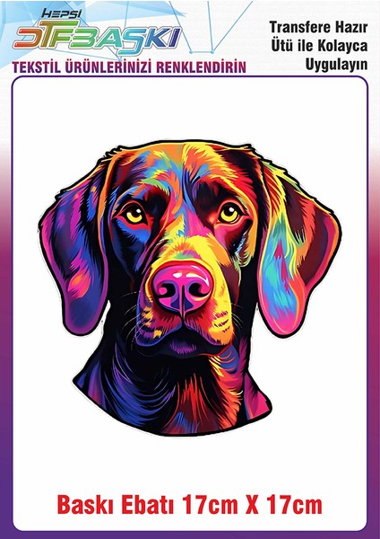 Renkli Köpek Ütü ile Yapışan Kumaş Tekstil Kıyafet Dtf Baskı