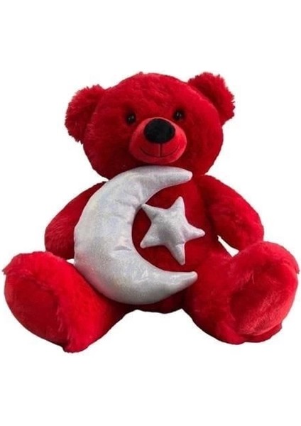 30 cm Ay Yıldız Temalı Ayıcık -Hly modelleri