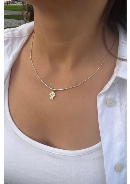 Köpek Charmlı Kolye fiyatları