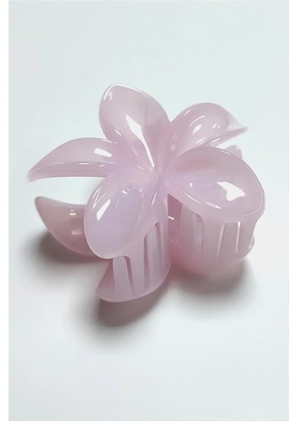 Buğz 6 cm Lotus Toka fiyatları