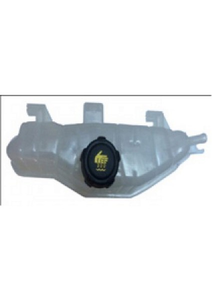 Mtxdpn Genleşme Kavonozu Kapakli Filtreli Clio Iii