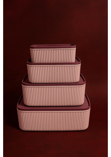 Saklama Kabı ve Kahvaltılık 4 Lü Multi fiyatları