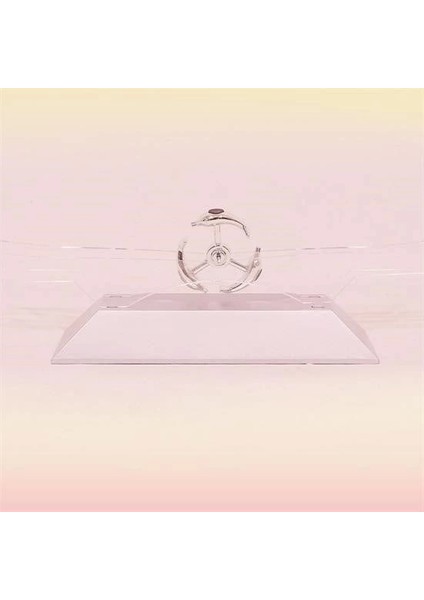 Dekoratif Masa Üstü Obje Manyetik Kinetik Orbital Dönen Yunuslar