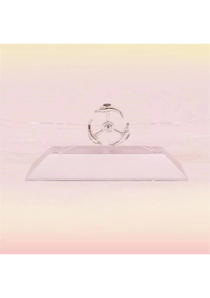 Dekoratif Masa Üstü Obje Manyetik Kinetik Orbital Dönen Yunuslar indirimleri