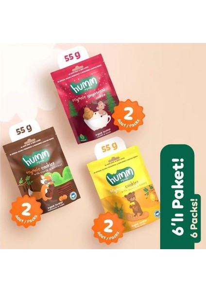 Buğz Humm Organik Kurabiye 6'lı Set (Keçiboynuzlu ve Fındıklı & Zencefilli ve Tarçınlı & Ballı ve Kinoalı) fiyatları