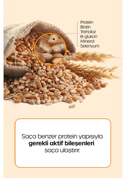 Premium Alman Bira Mayası Şampuanı Germany Beer Yeast Shampoo 500 ml modelleri