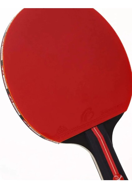Masa Tenis Raket Seti 2 Raket + 3 Top fiyatları