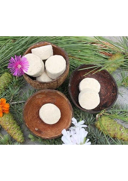 Eldione Ruşur Taşı (Sefidab) 10'lu Paket – Doğal Peeling ve Cilt Yanileme Taşı | Cilt ve Doğum Lekeleri, Siyah Nokta, Akne Izleri ve Güneş Lekeleri Için Etkili 1 Paket Içi (10 Adet) fiyatları