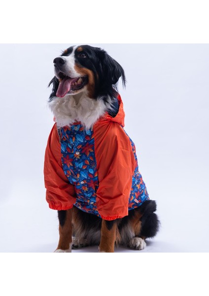 Amsterdam Fall Turuncu Yaprak Desenli Büyük Irk Köpek Montu Köpek Yağmurluğu Köpek Kıyafeti Köpek Elbisesi