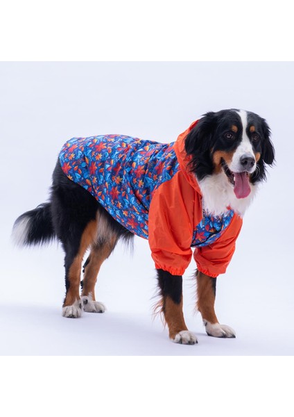 Amsterdam Fall Turuncu Yaprak Desenli Büyük Irk Köpek Montu Köpek Yağmurluğu Köpek Kıyafeti Köpek Elbisesi modelleri