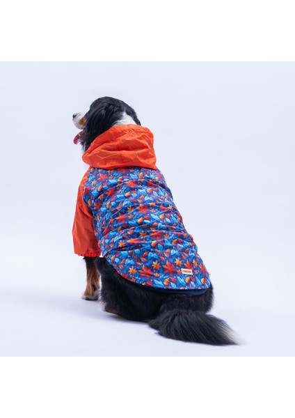 Amsterdam Fall Turuncu Yaprak Desenli Büyük Irk Köpek Montu Köpek Yağmurluğu Köpek Kıyafeti Köpek Elbisesi fırsatları