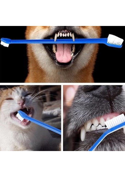 Kyrotech 4’lü Çift Taraflı Kedi ve Köpek Diş Fırçası Seti – Uzun Saplı, Ergonomik, Yumuşak Kıllı, Evcil Hayvan Ağız Bakım Fırçası, Silikon Kaymaz Gövde, Plak Temizliği Için Uygun fiyatları