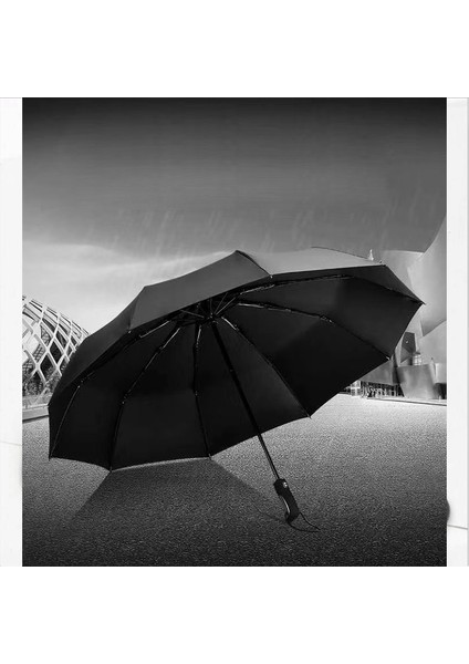 Tam Otmatik 10 Tel Lüx Erkek Şemsiye modelleri