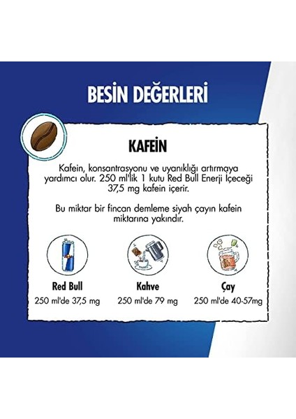 Red Bull Enerji Içeceği, Yaban Mersini, 250 ml (24'lü Paket, 24 x 250 Ml)