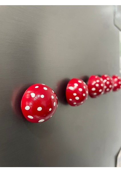 5'li Kırmızı Mantar Magnet Seti - Buzdolabı Süsü - Dekoratif Mıknatıs fiyatları