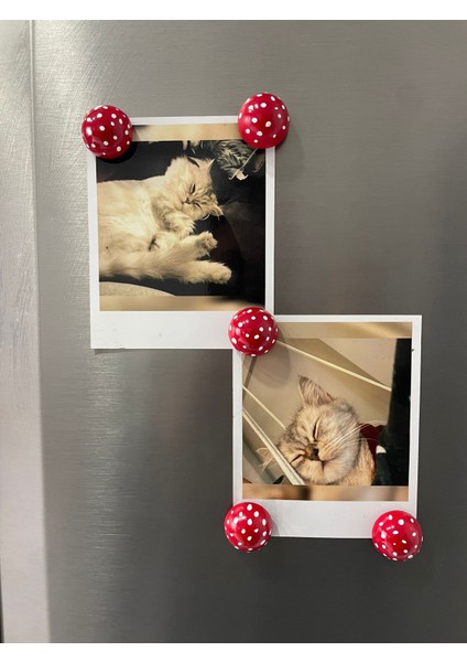 5'li Kırmızı Mantar Magnet Seti - Buzdolabı Süsü - Dekoratif Mıknatıs fırsatları