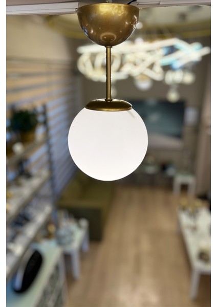 Globe Gold ONE Cam Avize modelleri