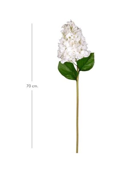 Ortanca Beyaz 70 Cm. fiyatları