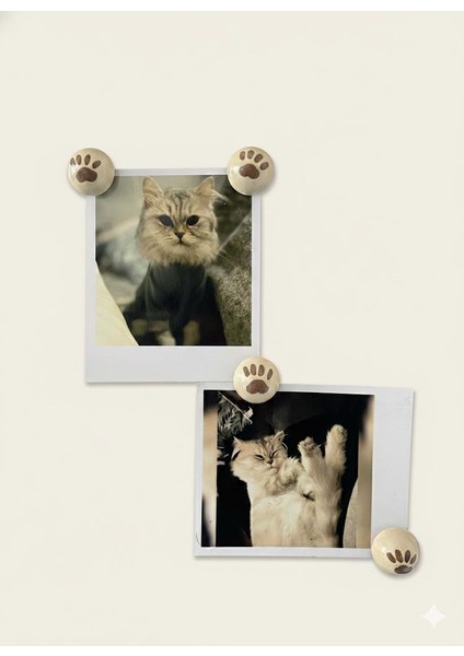 Kedi Pati Magnet Seti – Dekoratif Buzdolabı Magneti, Polaroid Fotoğraf ve Not Tutucu (4’lü Set)