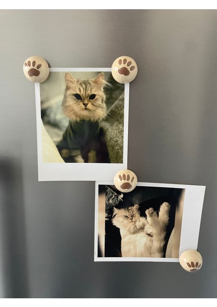 Kedi Pati Magnet Seti – Dekoratif Buzdolabı Magneti, Polaroid Fotoğraf ve Not Tutucu (4’lü Set) fiyatları