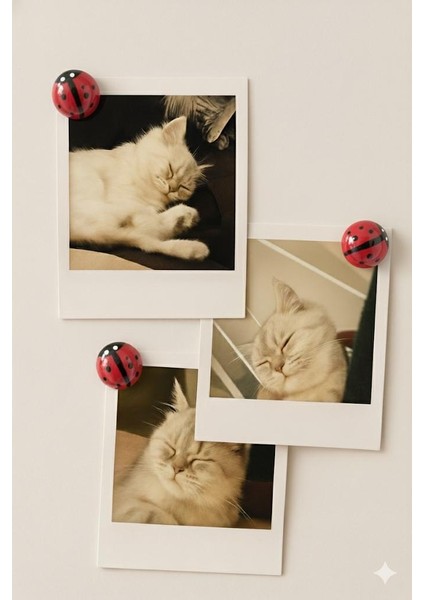 4’lü El Yapımı Uğur Böcekli Magnet Seti – Sevimli, Şık ve Şans Getiren Dekoratif Aksesuar