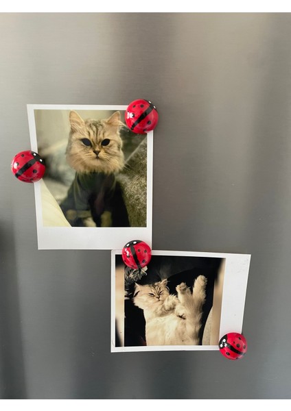 4’lü El Yapımı Uğur Böcekli Magnet Seti – Sevimli, Şık ve Şans Getiren Dekoratif Aksesuar fiyatları