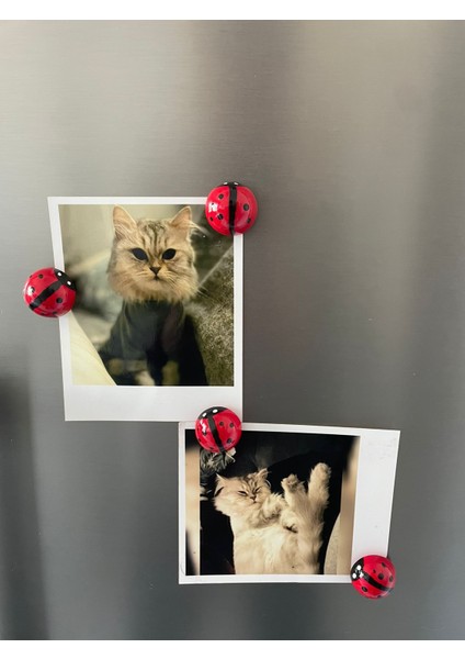 4’lü El Yapımı Uğur Böcekli Magnet Seti – Sevimli, Şık ve Şans Getiren Dekoratif Aksesuar modelleri