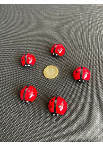 4’lü El Yapımı Uğur Böcekli Magnet Seti – Sevimli, Şık ve Şans Getiren Dekoratif Aksesuar fırsatları