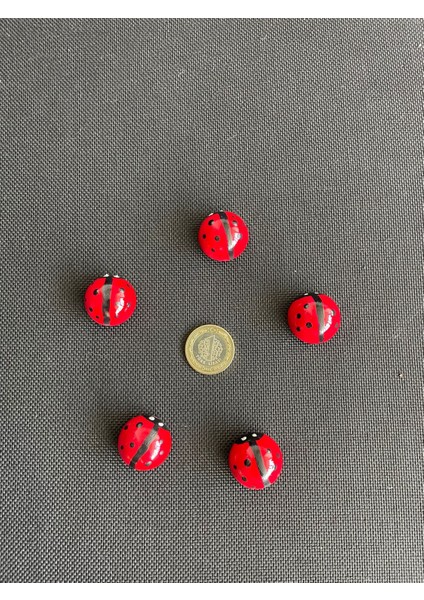 4’lü El Yapımı Uğur Böcekli Magnet Seti – Sevimli, Şık ve Şans Getiren Dekoratif Aksesuar indirimleri