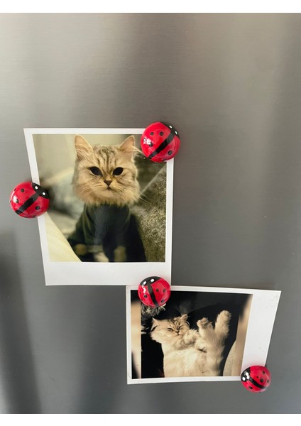 4’lü El Yapımı Uğur Böcekli Magnet Seti – Sevimli, Şık ve Şans Getiren Dekoratif Aksesuar