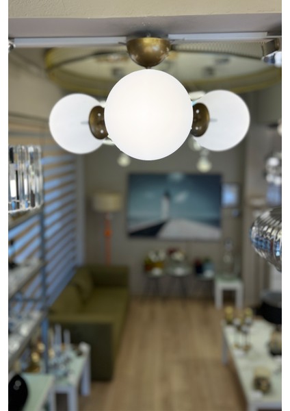 Globe Gold TRİO Plafonyer Cam Avize