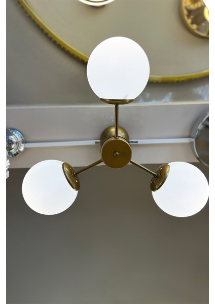 Globe Gold TRİO Plafonyer Cam Avize modelleri