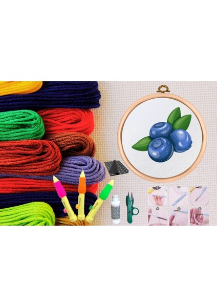 Punch Seti Nakış Seti Kasnaklı Kendin Yap Seti Seri 148