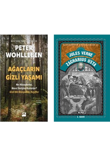 Ağaçların Gizli Yaşamı - Sc + Zacharius Usta