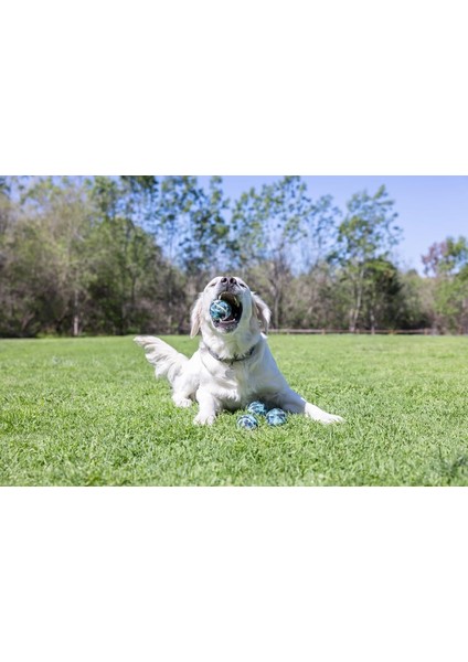 4'lü Blue Camo Orta Boy 6.5 cm fırsatları