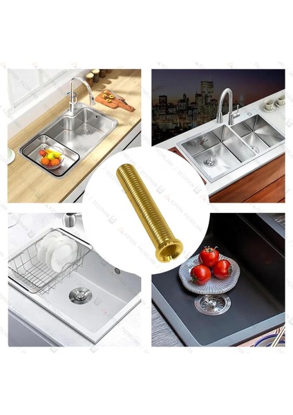 Evye Sifon Vidası, Pirinç ve Plastik, 1 1/4 Inç, Mat Yüzey, Beyaz, 5.5 Cm, Teka Uyumlu, Lavabo Sifonu Dahil fırsatları