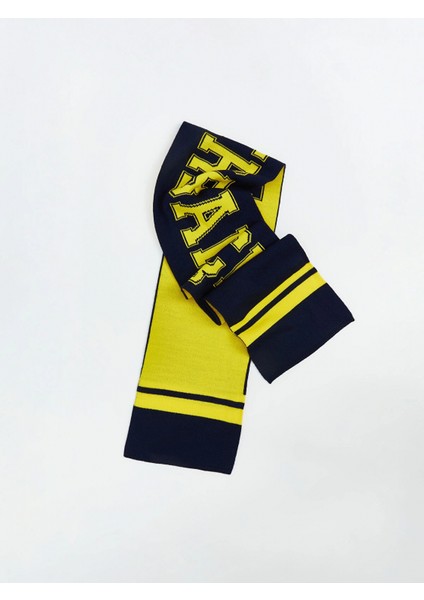 Lcw Accessorıes Lacivert Fenerbahçe Baskılı Erkek Çocuk Atkı fiyatları