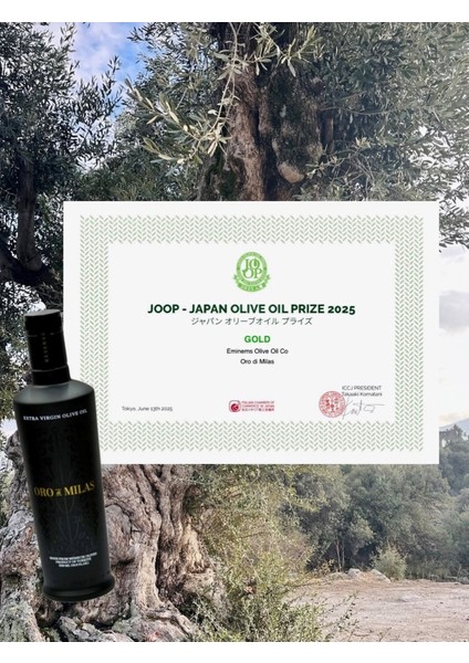 Reserve Erken Hasat Soğuk Sıkım Naturel Sızma Zeytinyağı 500 mL