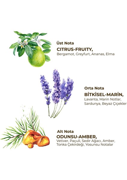 Eyüp Sabri Tuncer Erkek Roll On Deodorant 75 ml Active fiyatları