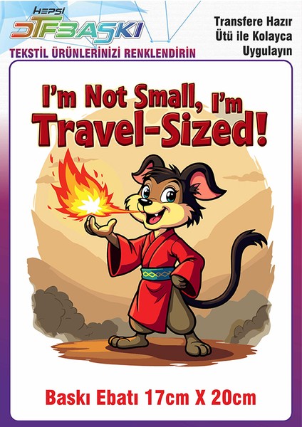 Özel Tasarım Ütü ile Yapışan Kumaş Tekstil Kıyafet Dtf Baskı 2687