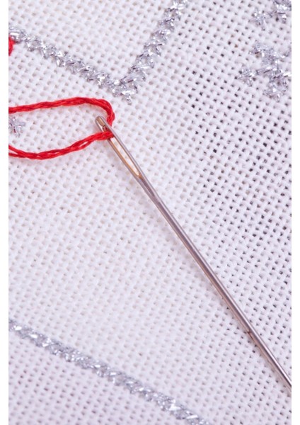 Dikiş Nakış Iğnesi 16'lı fiyatları