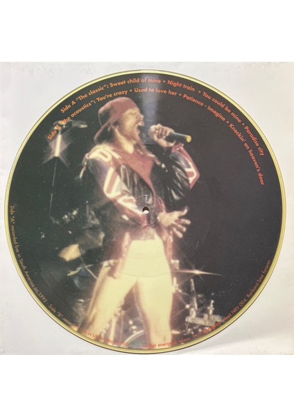 Guns 'n' Roses The Classic & The Acoustic Picture Disc Lp Plak fiyatları