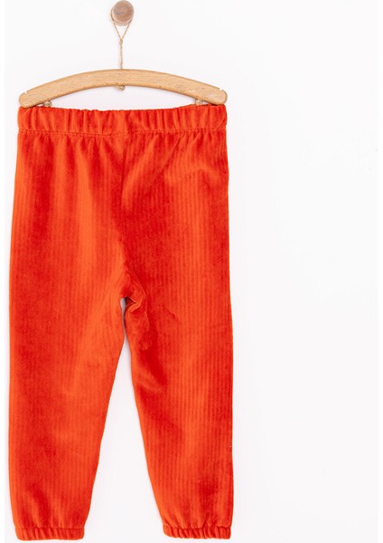 Erkek Bebek Basic Eşofman Alt Kadife Lastikli Paça Ekru fiyatları