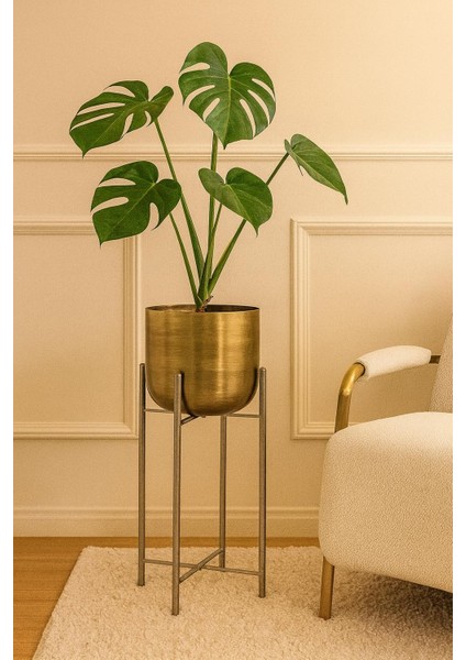 60 cm 25 cm Eskitme Ayaklı Saksılık fiyatları